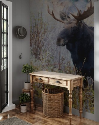 Image de BULL MOOSE IN AUTUMN COLORS STOCK IMAGE