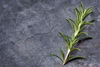 Bild på Rosemary on Slate Top View