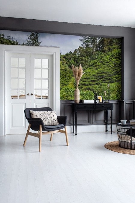 Afbeeldingen van Tea Plantation overlooking layered hills in Malaysia Far East