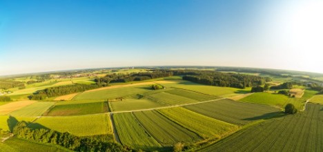Picture of Luftaufnahme von lndlicher Region