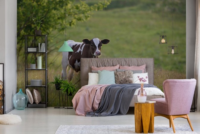 Picture of Young calf stands in the field and looks at the camera