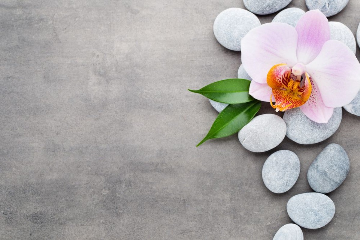 Picture of Spa orchid theme objects on grey background