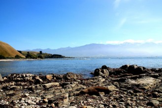 Attēls Campground view