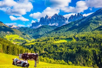 Picture of The dentate wall of dolomite rocks