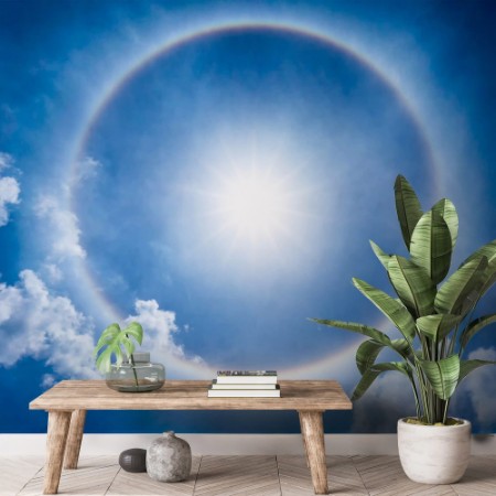 Picture of Sunny Central