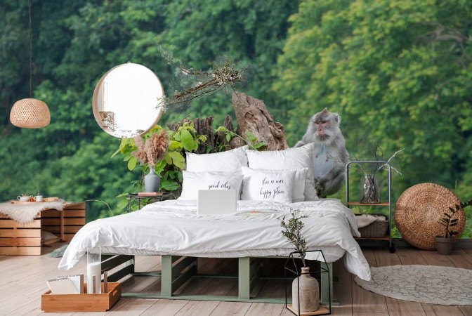 Εικόνα της Monkey in Lombok Indonesia