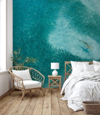 Afbeeldingen van Reef shark moves through a shoal of fish hunting