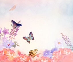 Picture of Flowers and Butterflies