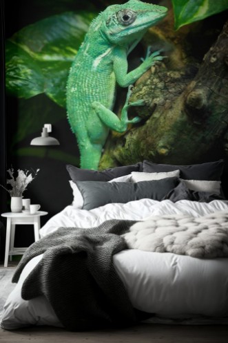 Afbeeldingen van Knight Anole