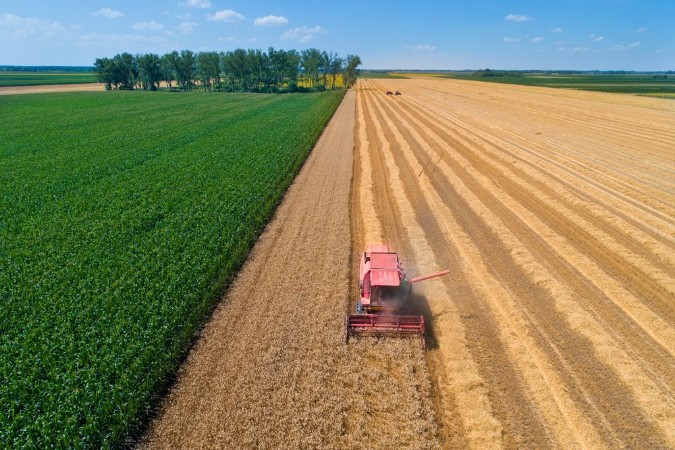 Image de Combine harvester in wheat field