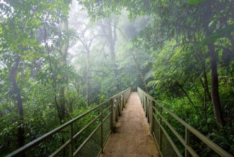Pilt Skywalk cloudforest Costa Rica