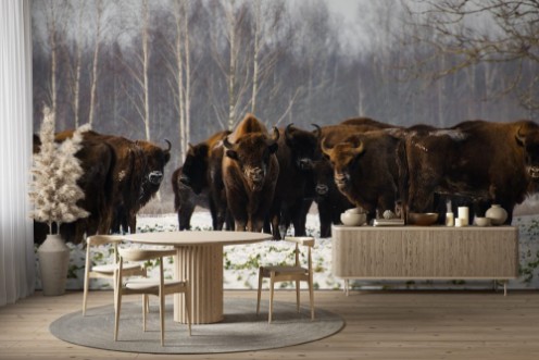 Picture of Dzikie ubry