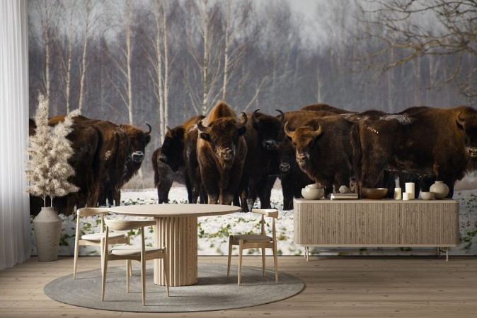 Picture of Dzikie ubry