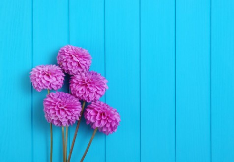 Picture of Flowers on blue painted wooden planks