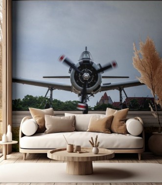 Afbeeldingen van Kampfflugzeug Warbird