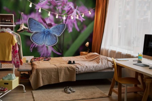 Afbeeldingen van Beautiful blue butterfly on pink flowers