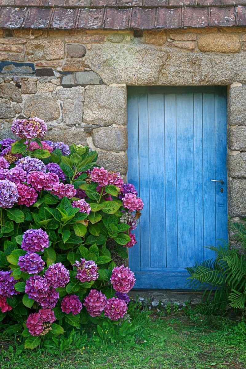 Picture of In der Bretagne