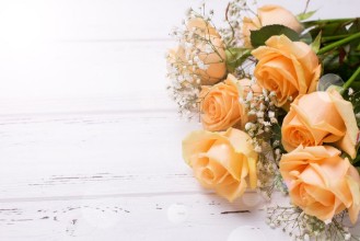 Afbeeldingen van Fresh peach color roses flowers on white wooden background in ray of light 