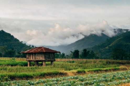 Obrázok z Timber house covered by rusty roof in the local farm