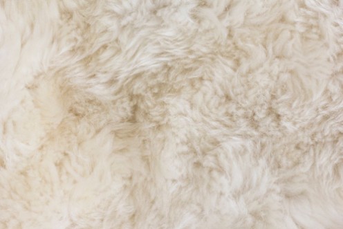 Fur TextureFur Texture  photowallpaper Scandiwall