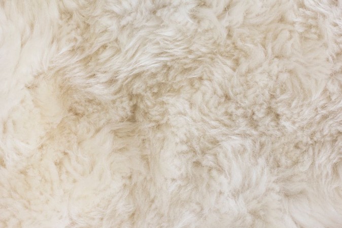 Fur TextureFur Texture  photowallpaper Scandiwall