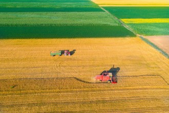 Picture of Aerial image of harvest in wheat field