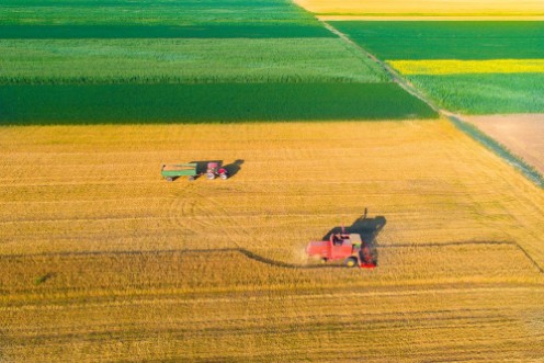 Image de Aerial image of harvest in wheat field