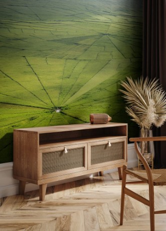 Obrázok z Spider web rice field in Ruteng