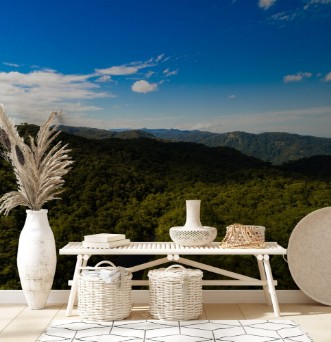 Afbeeldingen van Aerial View of Mountains in Rainforest