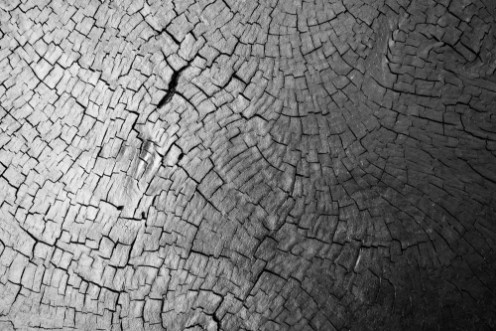 Picture of Wood texture background