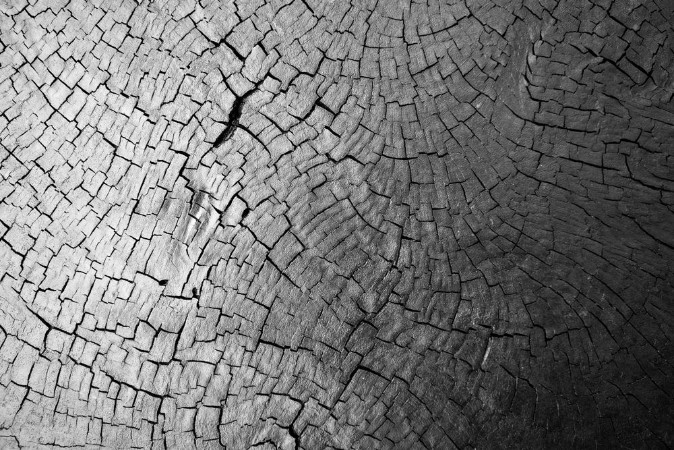 Wood texture background photowallpaper Scandiwall