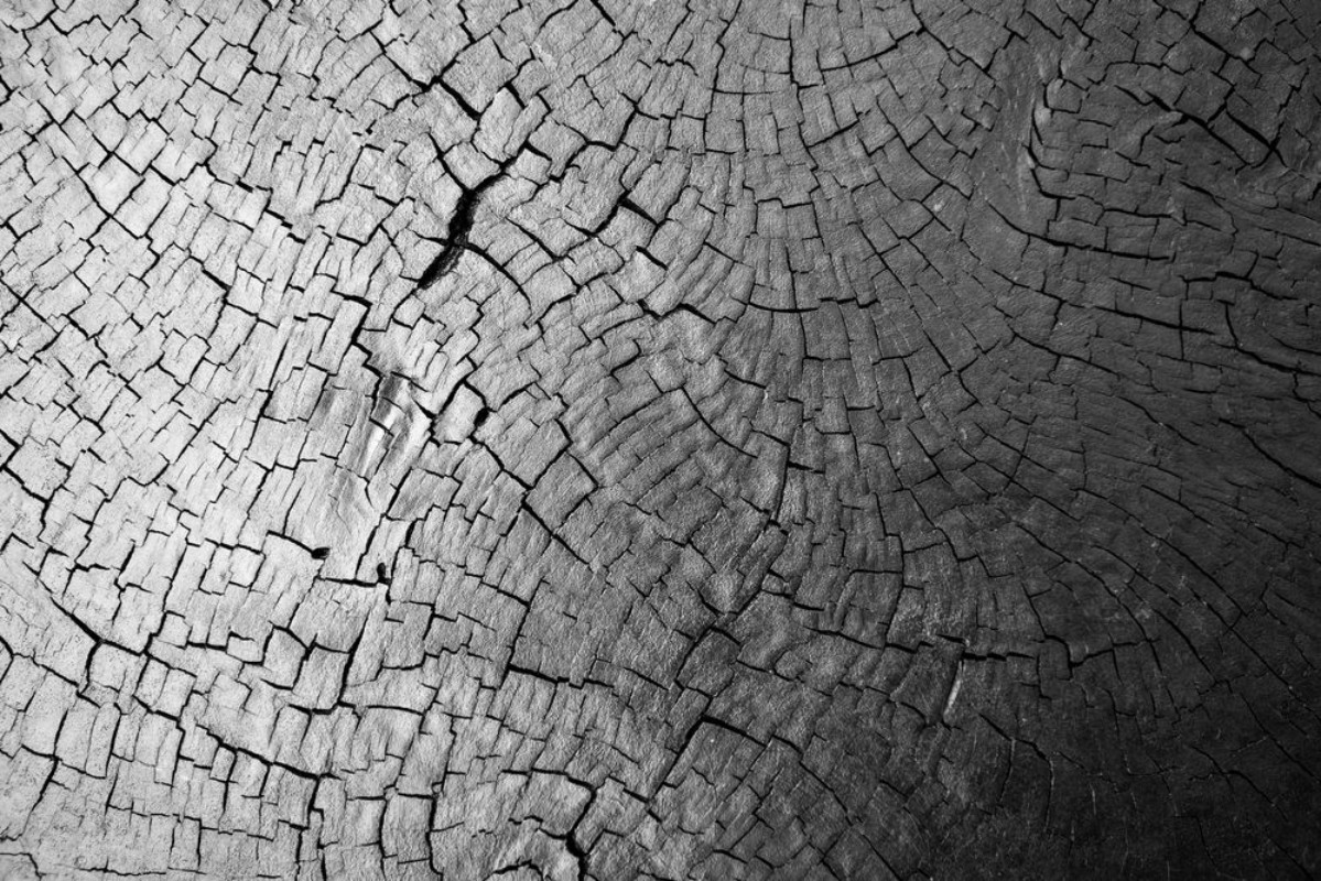 Image de Wood texture background