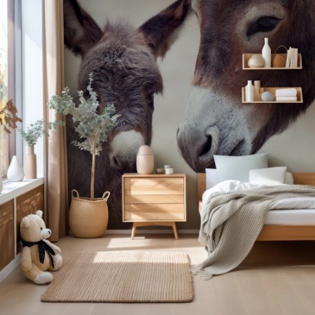 Picture of Donkey Mules