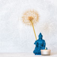 Picture of Buddha burning candle and dandelion flower as zen background