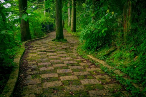 Image de A stoned entrance of Hakone shrine in the forest in a sunny day in Kyoto Japan