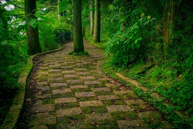 Image de A stoned entrance of Hakone shrine in the forest in a sunny day in Kyoto Japan