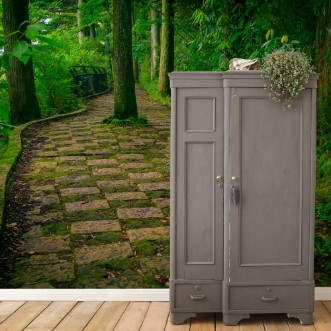 Image de A stoned entrance of Hakone shrine in the forest in a sunny day in Kyoto Japan