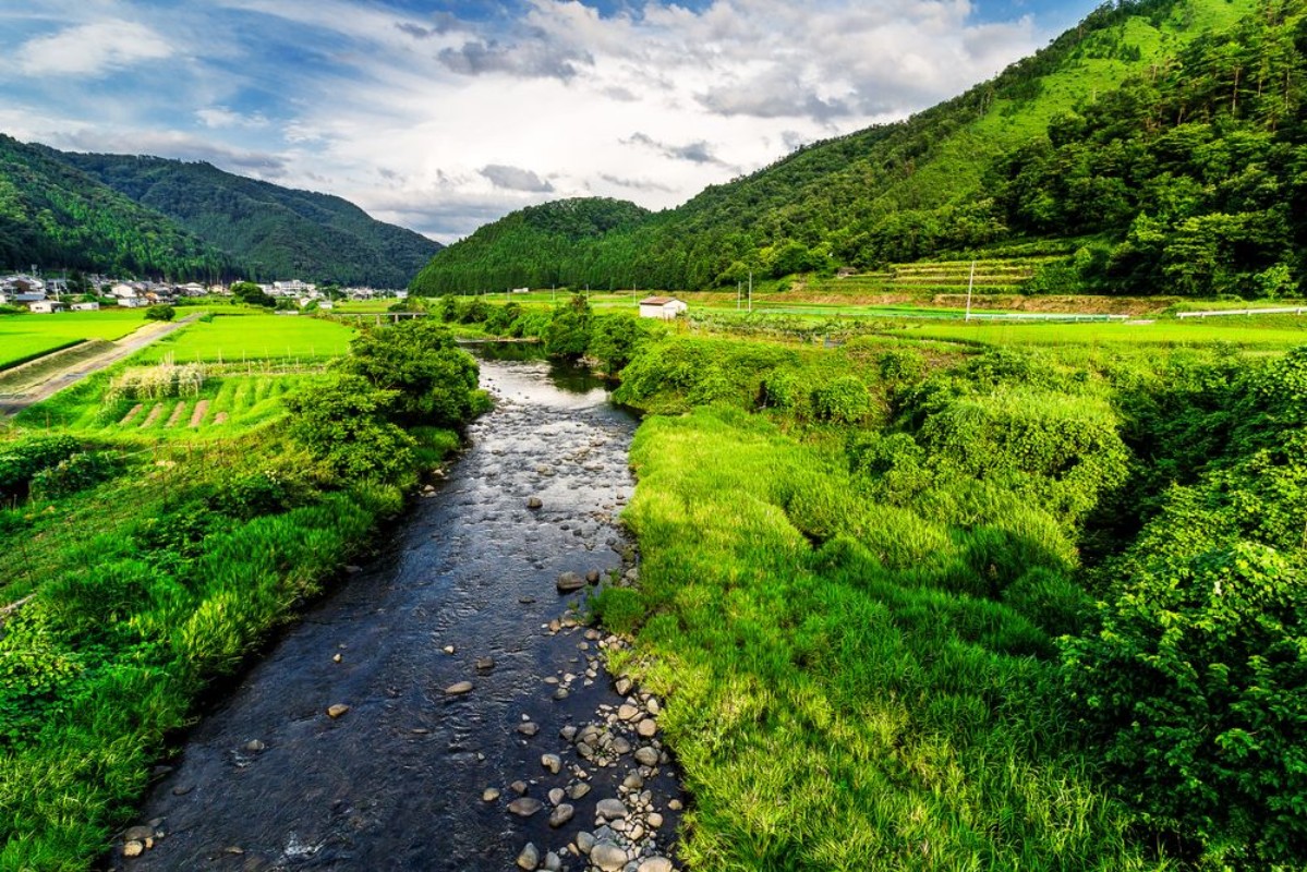 Picture of Calm Countryside