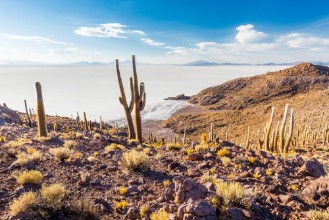 Image de Huge cactuses Salar De Uyuni islands mountains scenic landscape