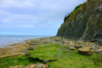 Picture of Falaises de port en bessin 