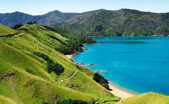 Picture of Neuseeland Kste