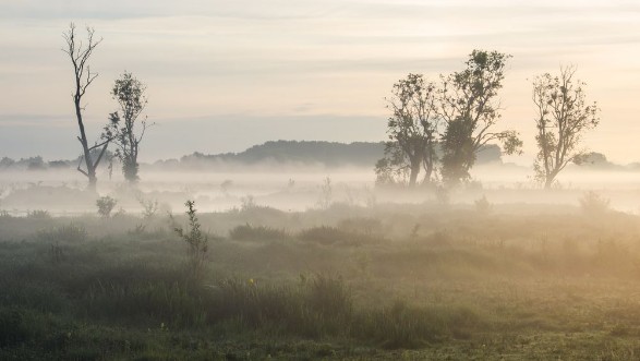 Image de Bourgoyen-Ossenmeersen Ghent Belgium