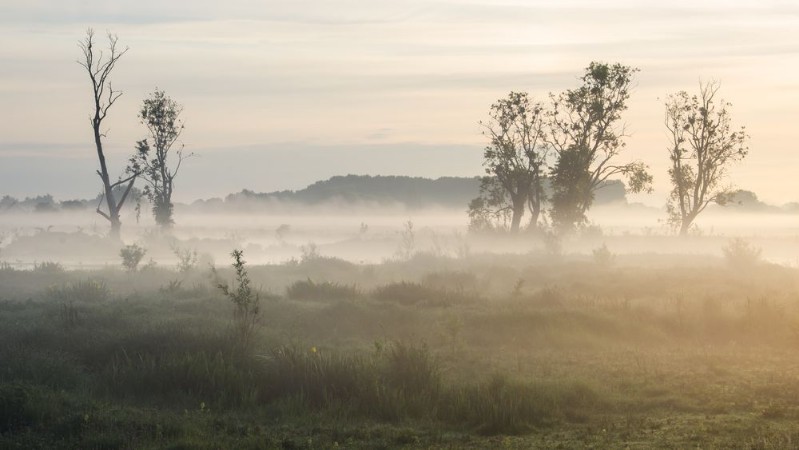 Afbeeldingen van Bourgoyen-Ossenmeersen Ghent Belgium