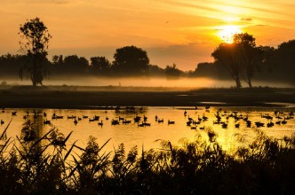 Image de Bourgoyen-Ossenmeersen Ghent Belgium