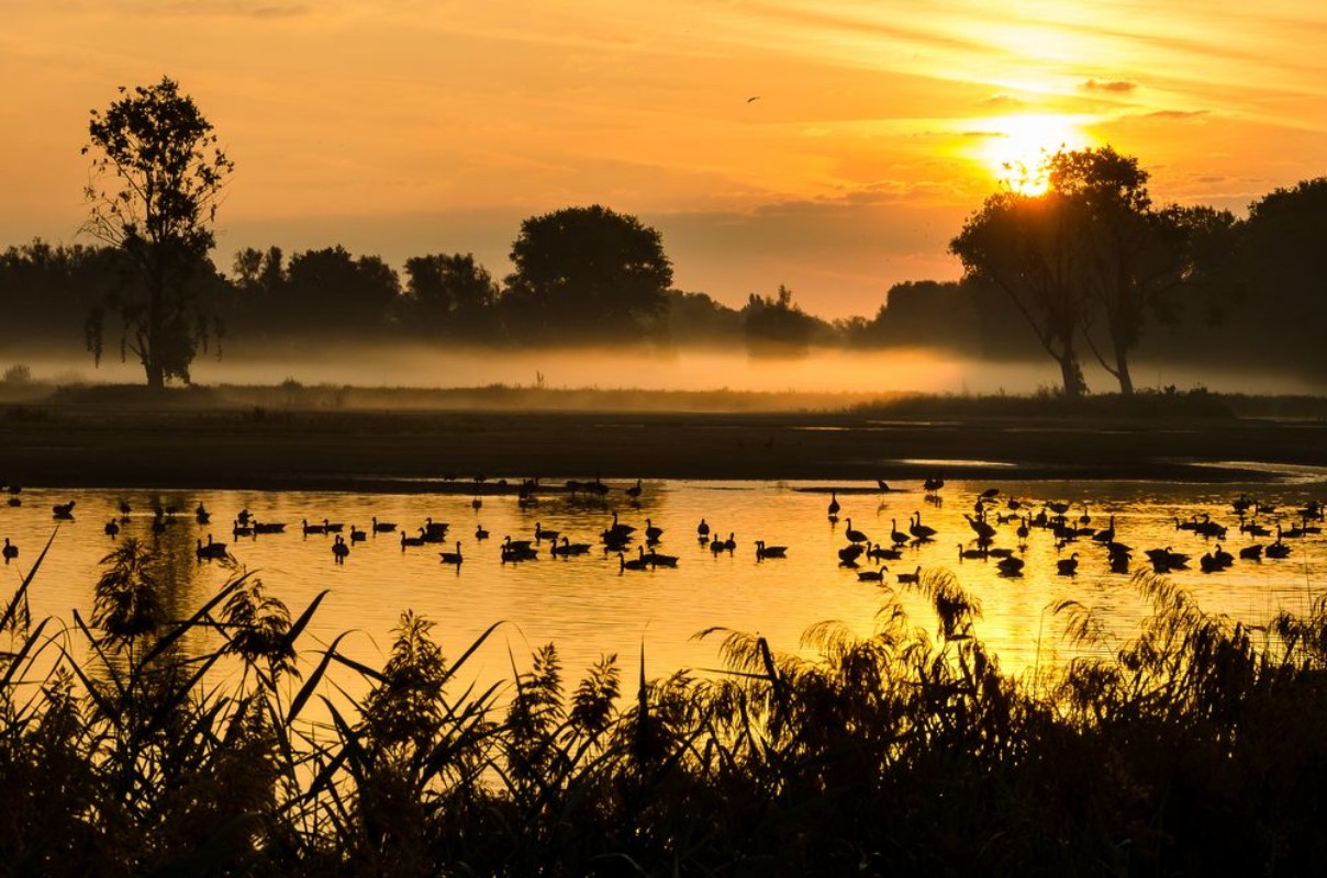 Picture of Bourgoyen-Ossenmeersen Ghent Belgium