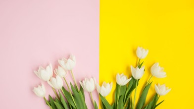 Afbeeldingen van Pink and yellow surface with tulips