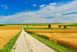 Obrázok z Country road