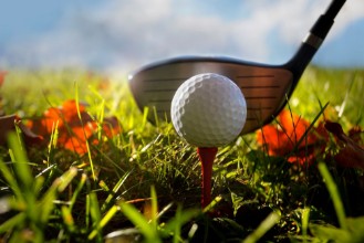 Afbeeldingen van Golf club and ball in grass