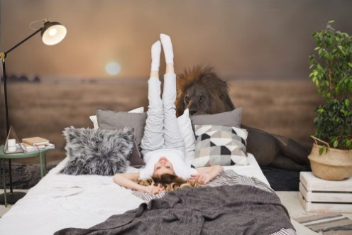 Picture of A male lion is sitting on the top of the rock looking for his area  He looks so gorgeous 