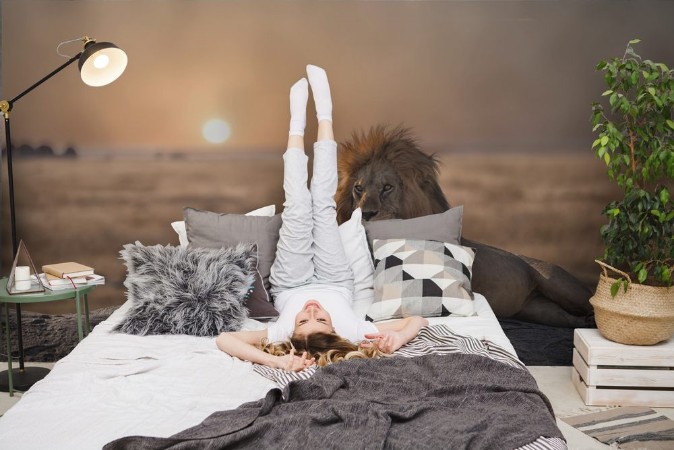 Picture of A male lion is sitting on the top of the rock looking for his area  He looks so gorgeous 